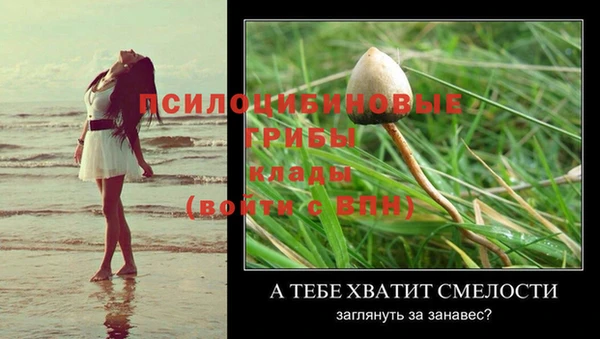 меф Богородск
