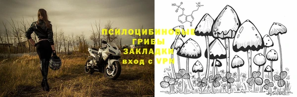 молекула духа Белокуриха
