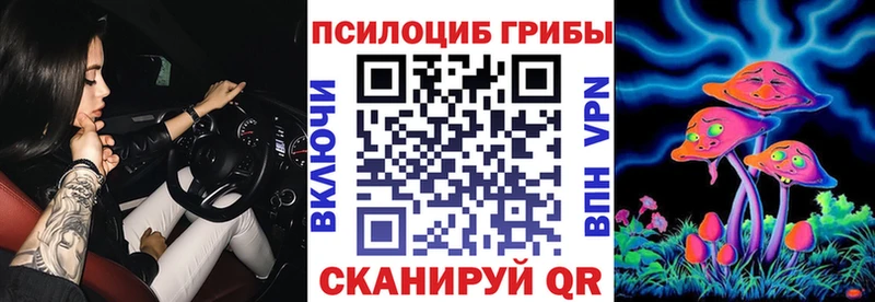 Псилоцибиновые грибы Magic Shrooms как найти Новосибирск