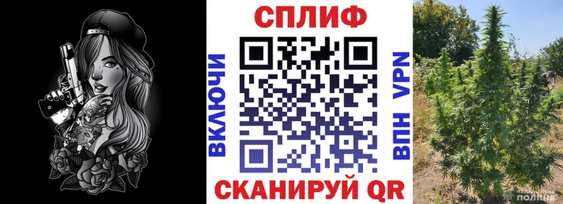 Каннабис планчик Новосибирск